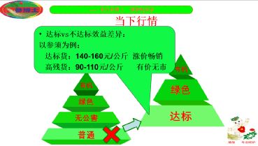 抚松县人参产业重大技术协同推广项目培训会正式开讲
